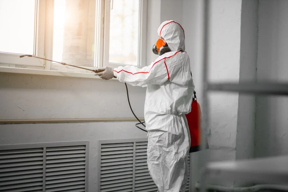 Professional mold remediation services in Valhalla, NY